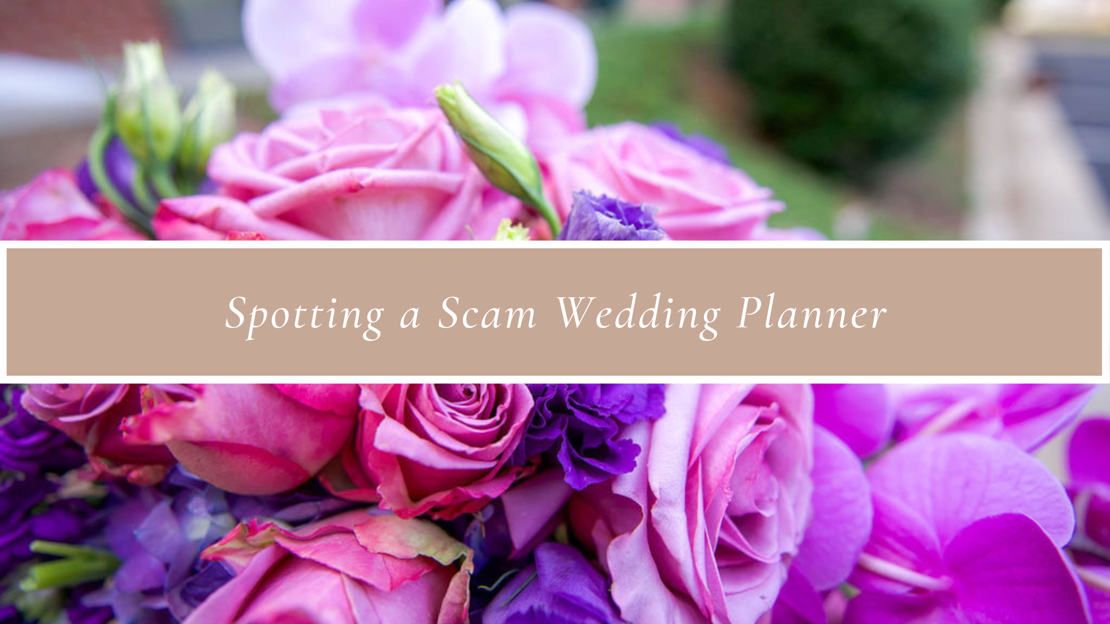 Spotting a Scam Wedding Planner